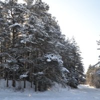 Снегопадами балует март - Вместо дружной весенней распутицы... :: zoja 