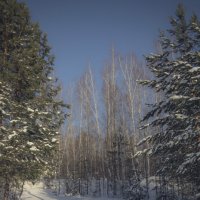 Зимний пейзаж :: Евгений 