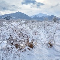 Зима вернулась на Кавказ :: Николай Николенко