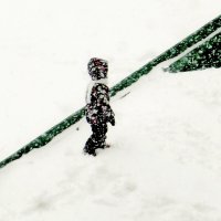 А снежок - на радость детям :: Raduzka (Надежда Веркина)