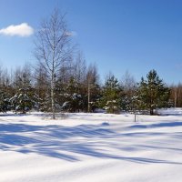 Тени становятся длиннее :: Анатолий Мо Ка