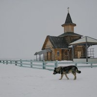 У попа была собака... :: Сергей Шаврин