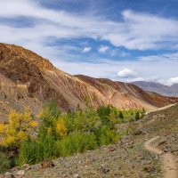 Ущелье ручья Кызыл-Чин :: Виктор Четошников