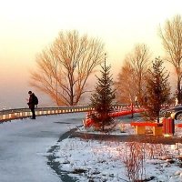 Наш Окский откос Зима вначале было фото...  https://stihi.ru/2021/03/28/5393 :: Сергей Лютов