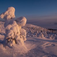 Теплый закат на холодном море. :: Сергей Мартьяхин