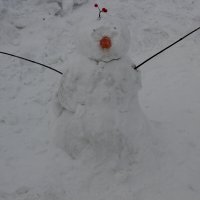 Снеговик. :: Радмир Арсеньев