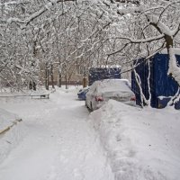 А снег идёт... :: Анатолий Цыганок