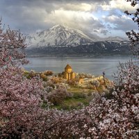 Akdamak Adası :: Musa TALASLİ