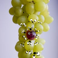 Шокированные виноградинки :: Ульяна Гончарова