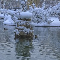 Снег в феврале :: Валентин Семчишин