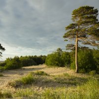 Северодвинск, Ягры, Белое море, летний вечерок :: Владимир Шибинский