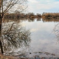Вечерний разлив у реки :: Юрий Стародубцев