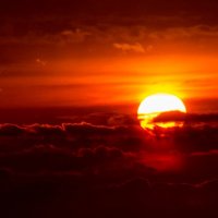 солнце на закате :: Елена Кордумова