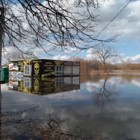 Отражения в озере :: Galina Solovova