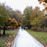 Осень в  Гагаринском  парке :: Валентин Семчишин