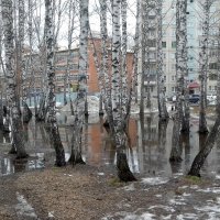 Апрельские разливы в городе . :: Мила Бовкун