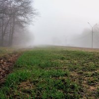Дороги и туман утром.. :: Юрий Стародубцев