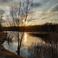 Закат на пруду (А как еще назвать?) :: Андрей Лукьянов