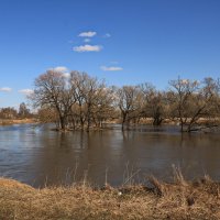 Разлив на реке Киржач. :: Ирина Нафаня