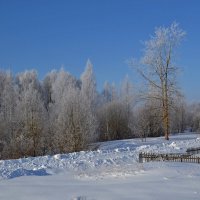 МОЯ ДЕРЕВНЯ. :: Виктор Осипчук