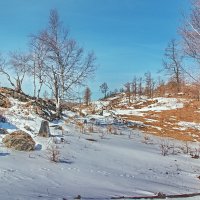 На апрельской прогулке в сопках :: Андрей Семенов