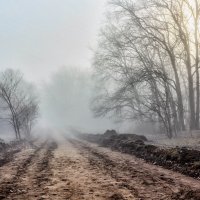 Утром при тумане.. :: Юрий Стародубцев