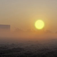 СВЕТИЛО солнышко в тумане :: Alexander Andronik