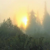 Солнце восходит в тумане :: Сергей Чиняев 