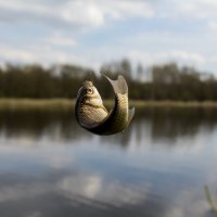 Ловись рыбка. :: Сяргей Зайцаў (Lesavik)