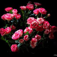 цветы для любимых :: Олег Лукьянов