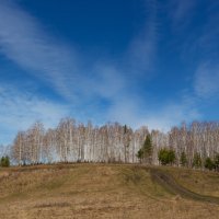 голубень :: Евгений Тарасов 