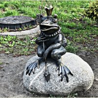 Парковая лягушка. :: Валерия Комова