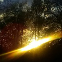 Весенний закат майского солнца. :: Pavlov Filipp 