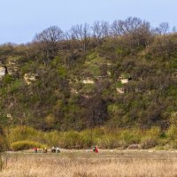 В заповеднике Галичья гора :: Сергей Цветков