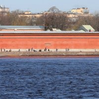 Самое теплое место в городе :: Александр Алексеенко