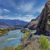 Катунь. Багульник цветёт :: Виктор Четошников