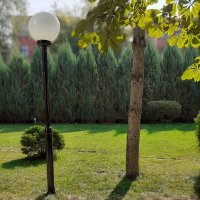 дерево и фонарь :: павел бритшев 