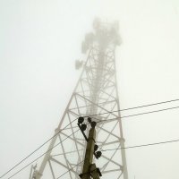 380В на фоне туманной связи :: Петр Фролов