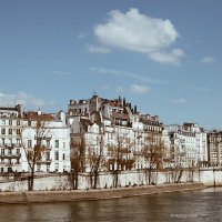Париж, вид на набережную :: Фотограф в Париже, Франции Наталья Ильина
