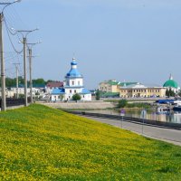 Цветут одуванчики в Чебоксарах.. :: Ната Волга