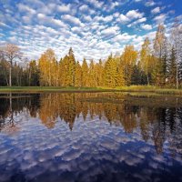 Центрально-Лесной Государственный Биосферный Заповедник :: Михаил Бибичков
