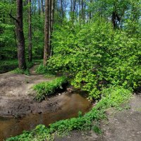 Генеральная репетиция Лета :: Андрей Лукьянов