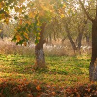 Осень в саду Свенского монастыря :: Евгений 