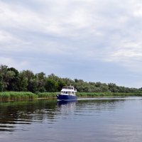 В плавнях Днепра :: Татьяна Ларионова