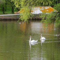 Леоновский пруд в парке «Сад Будущего» :: Ольга Довженко