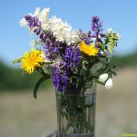 Ах, эти летние букеты из скромных полевых цветов! :: Андрей Заломленков