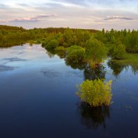 Вид на Ипуть с моста :: оксана 