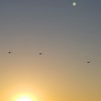 Вертолёты,солнце и луна! :: Светлана Хращевская