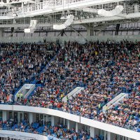 Зрителей полный стадион :: Андрей Николаевич Незнанов