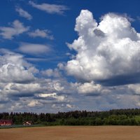 Ах, облака, облака!!! :: Александр Зиновьев